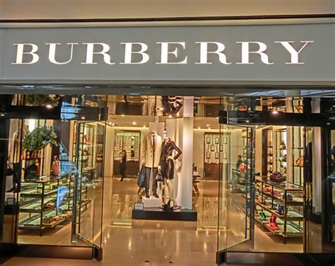 blueberry marca|burberry en línea.